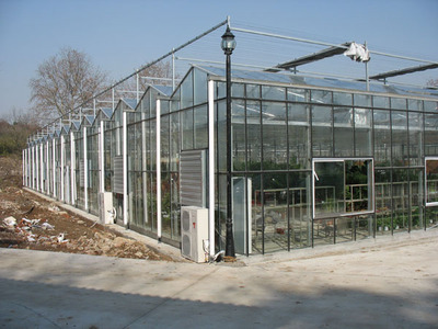 山东省青州市智能温室工程建设安装 智能温室 玻璃温室 阳光板温室 板温室