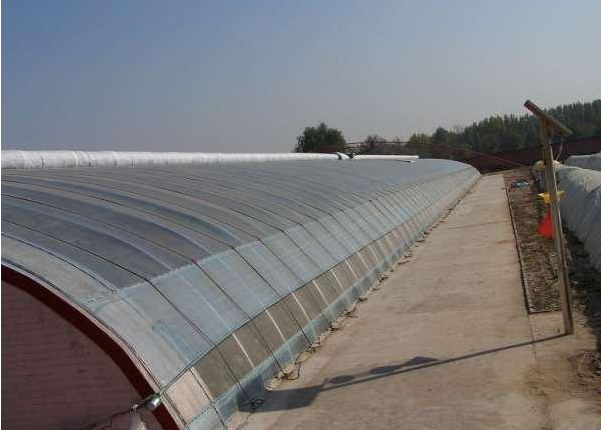 山东温室工程批发订做 玻璃温室 阳光板温室 温室工程