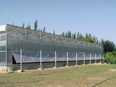 山东省智能温室工程建设 智能温室 玻璃温室 阳光板温室