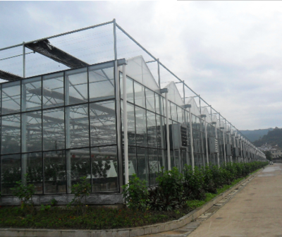 山东省青州市智能温室工程建设安装 智能温室 玻璃温室 阳光板温室 板温室图片