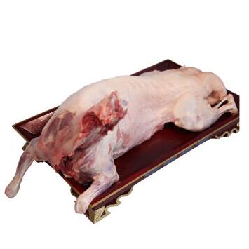 苏尔雅特羔全羊 苏尔雅特羔羊肉价格 西蒙（锡盟）羊肉批发商 产厂家