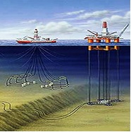 福州市海洋工程石油平台软电缆厂家