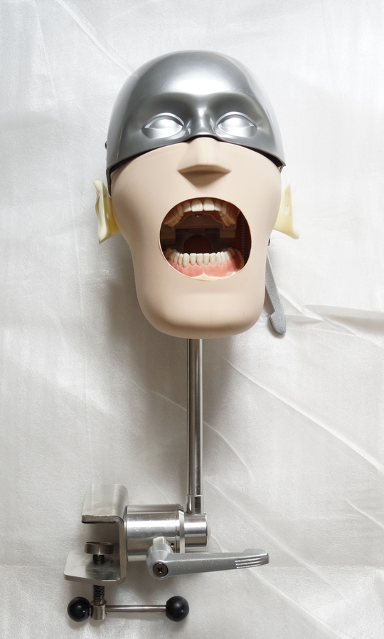 口腔模型宏思特HST-U6头模口腔模型头模模型模拟人图片