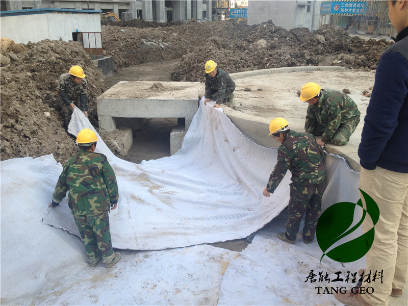 泰安天然钠基膨润土防水毯价格 膨润土防水毯 膨润土防水毯厂家 厂家图片