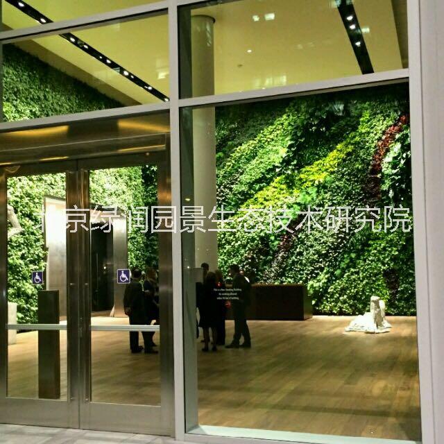 专植物墙业的植物墙公司北京绿魂谷立体绿化植物墙图片