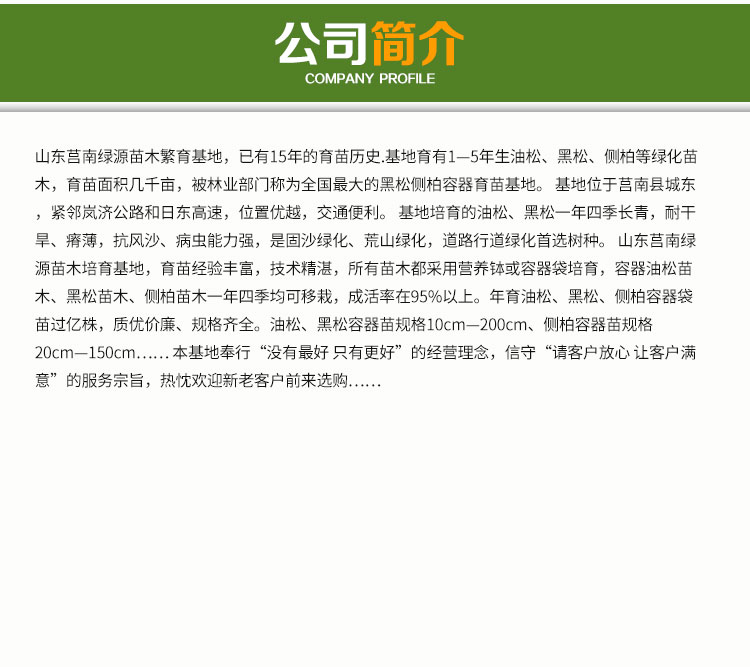 山东龙柏苗木供货商山东龙柏苗木供货商 龙柏 龙柏种苗 龙柏种苗养殖 龙柏苗种植基