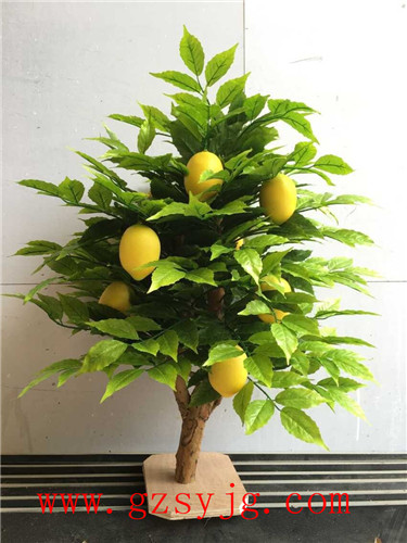 广州圣缘景观仿真柠檬树 柠檬树仿真 人造柠檬树盆栽 居家装饰仿真盆栽图片