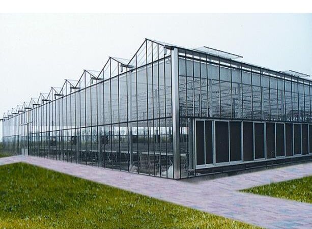 玻璃温室玻璃温室大棚玻璃智能温室大棚图片