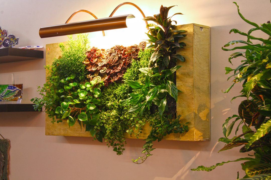 植物墙植物壁画植物屏风立体绿化生态植物墙办公室绿植壁画屏风除甲醛植物墙图片