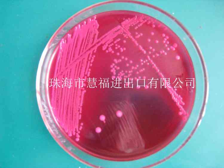 麦康凯琼脂干粉培养基现货促销