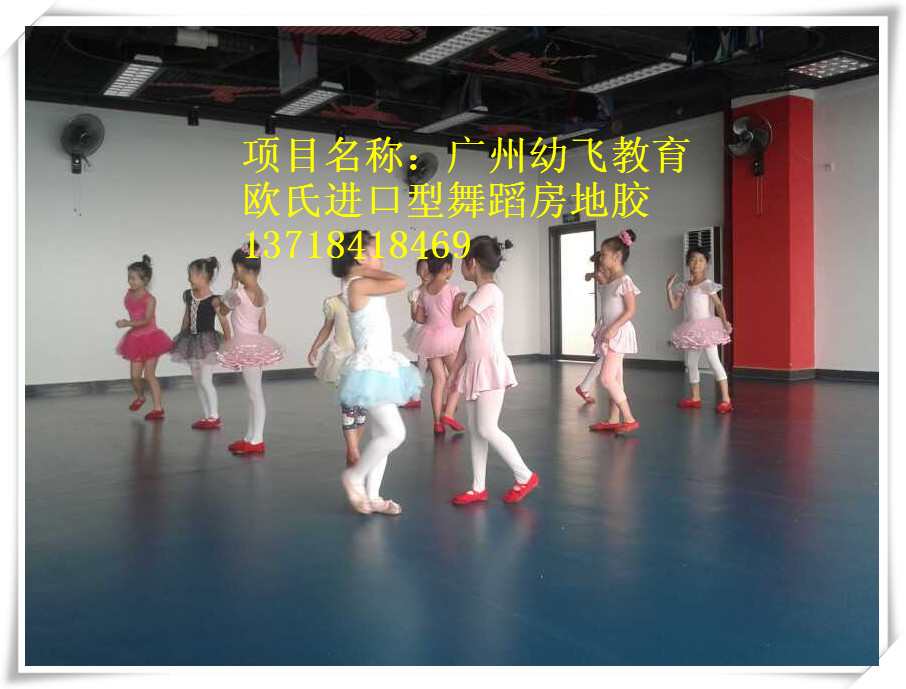 北京舞蹈地板胶批发