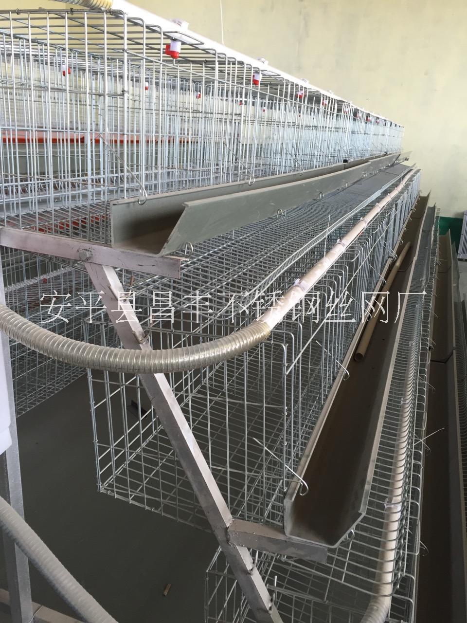 出口标准生产鸡笼 三层4门阶梯式批发