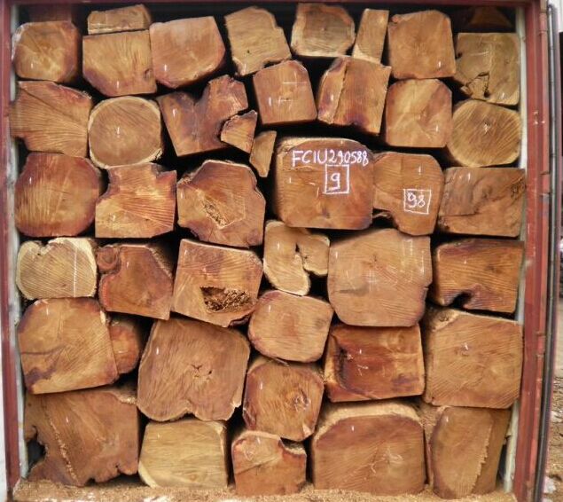 出售进口非洲原木缅茄木原木图片