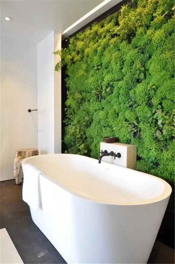长沙植物墙、室内绿化找【南国水景长沙植物墙、室内绿化找【南国水景】