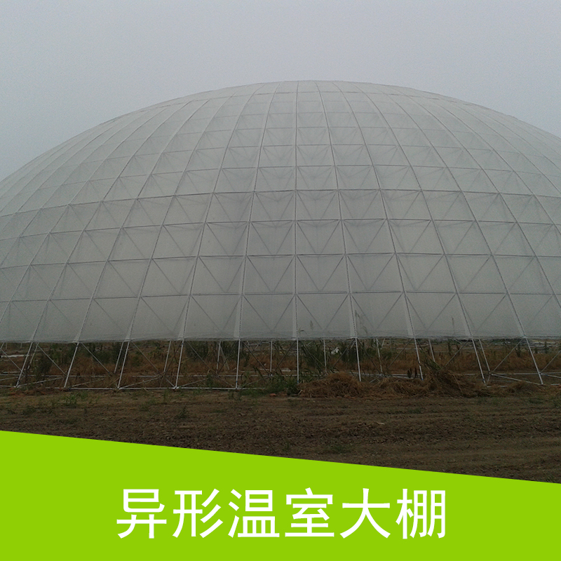 异形温室大棚 鸟巢温室 穹顶建筑集成温室大棚 球形温室大棚 生态观光温室