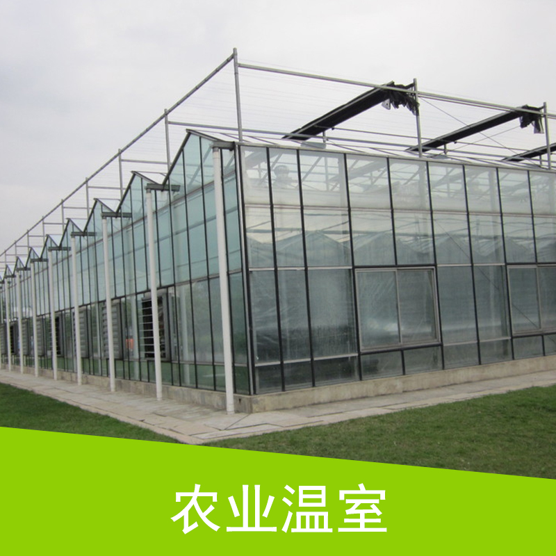 农业温室 智能玻璃温室大棚 连栋阳光房温室大棚 蔬菜大棚 种植生态温室图片