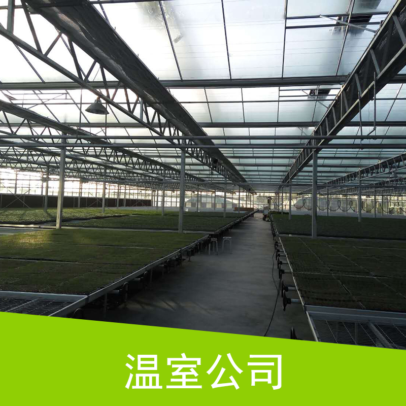 安徽温室公司 温室设计安装 温室工程 温室大棚造价 智能生态温室 温室厂家