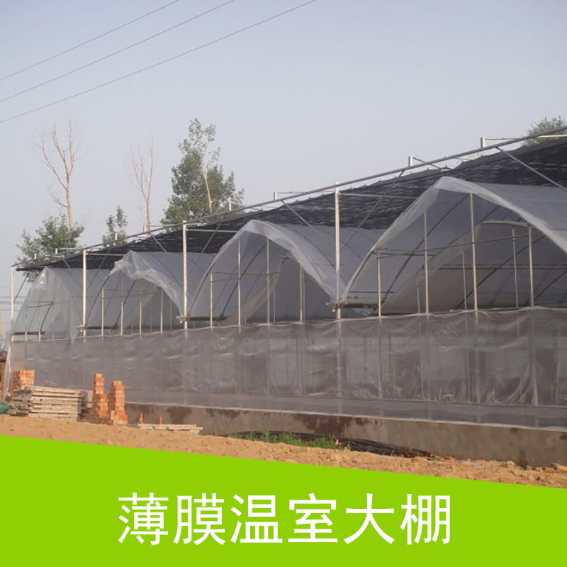 薄膜温室大棚 塑料薄膜大棚 内遮阳连栋温室大棚 种植养殖栽培生态温室大棚图片
