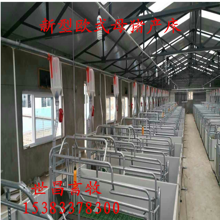 猪场自动化养殖设备料线自动化喂料系统养猪设备自动化料线