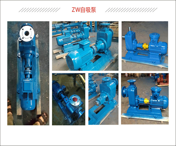 ZW系列自吸泵厂家直销 ZW系列自吸泵批发价格 排污能力强 维修方便 高效节能