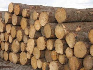 木材报关清关进口木材的手续流程批发
