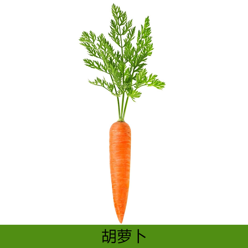 胡萝卜产品 新鲜胡萝卜批发 红萝卜供应商 胡萝卜种植 甘荀厂家报价