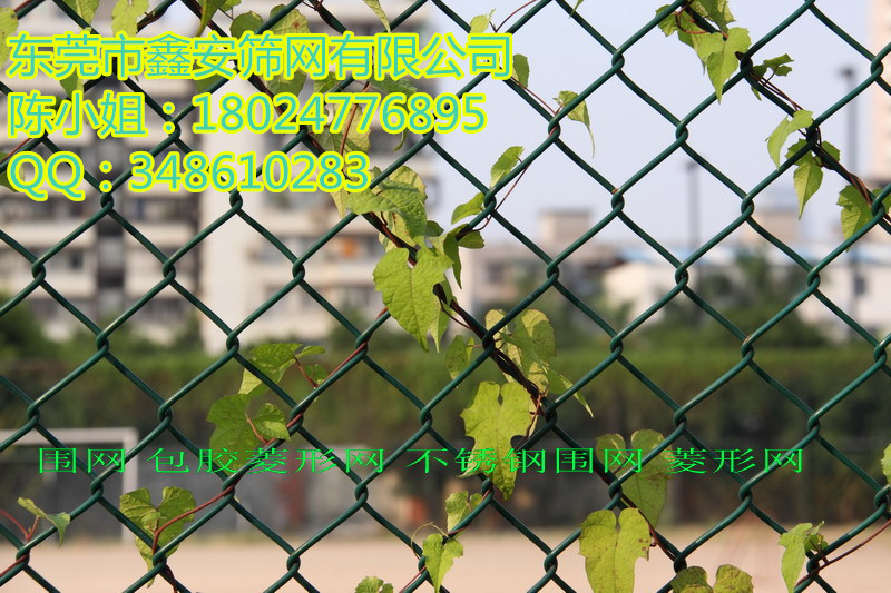 东莞鑫安厂家专业供应菱形网不锈钢菱形网塑料（PVC）菱形网图片
