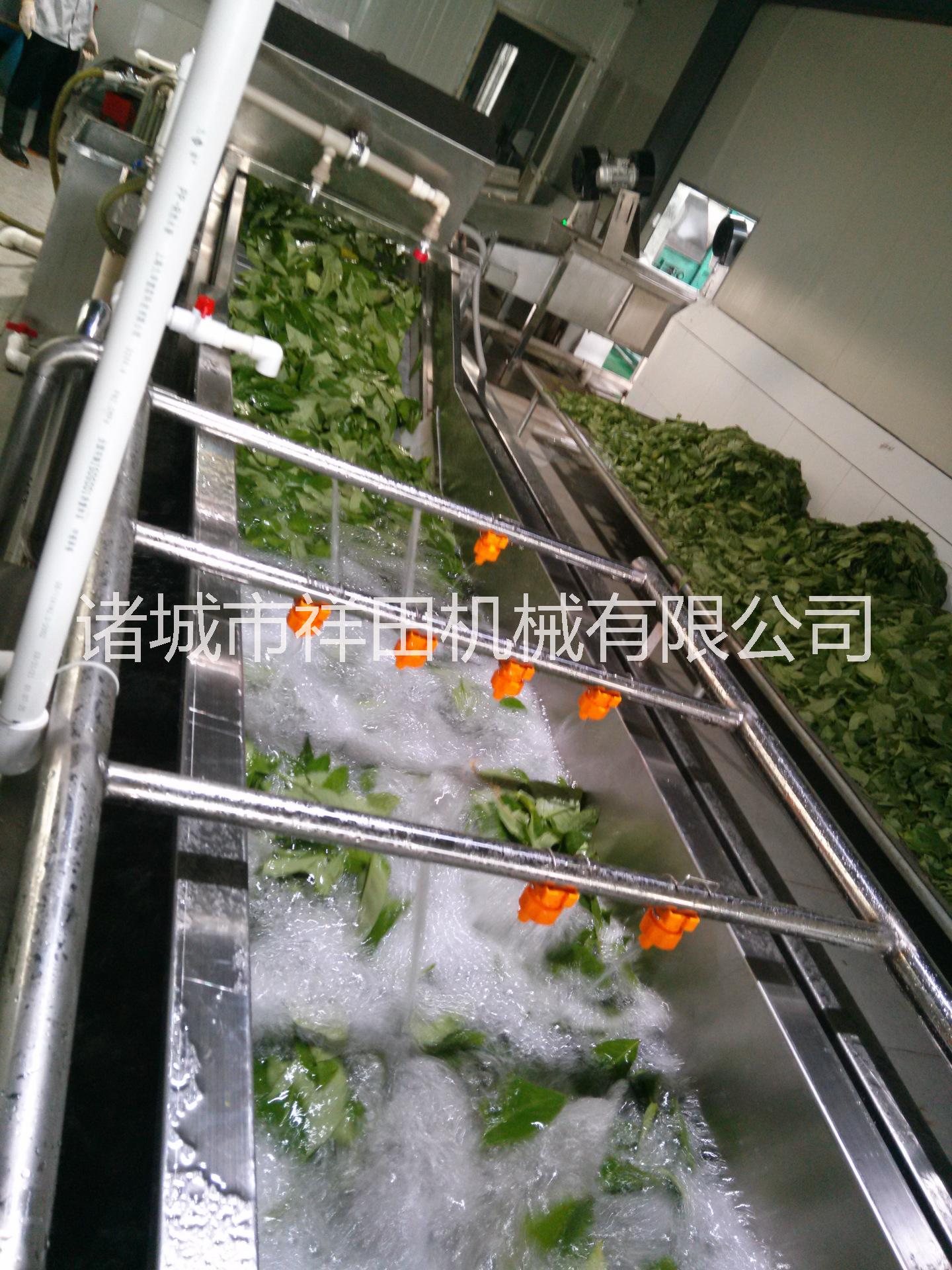 气泡式蔬菜清洗机 根茎类蔬菜清洗机 中草药清洗设备 不锈钢蔬菜清洗机