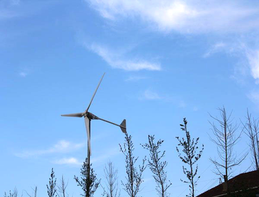 江苏泰坦新能源风力发电机