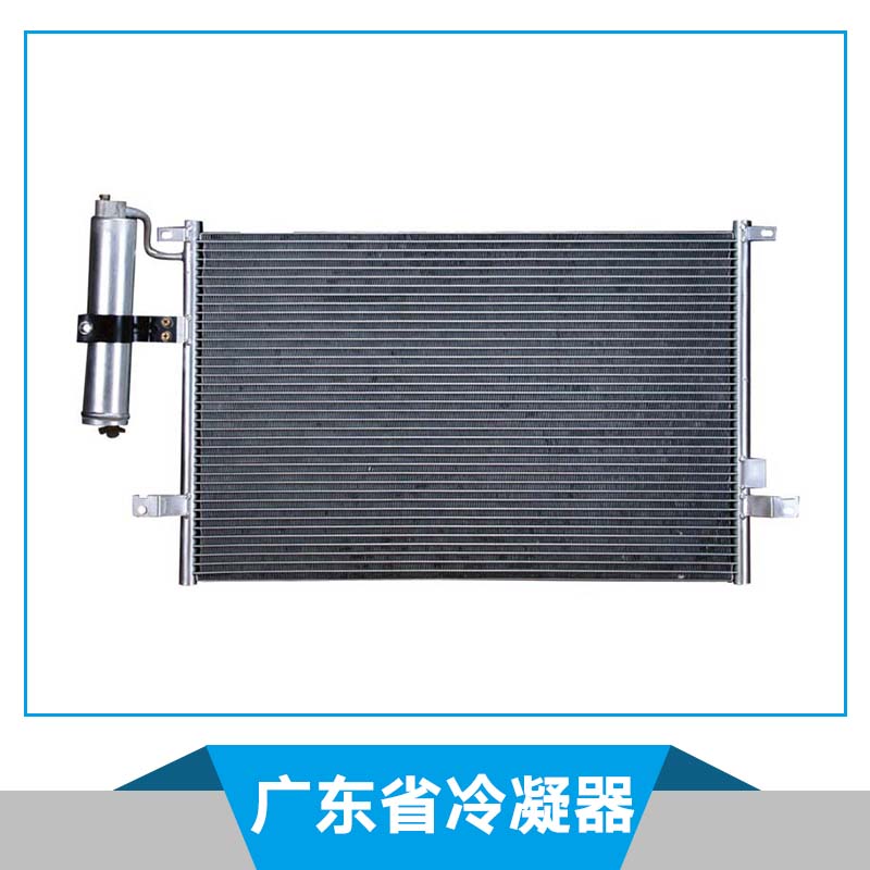 广东省冷凝器 支架式冷凝器 列管式冷凝器 蒸发式冷凝器 冷凝器风扇 微型冷凝器 玻璃冷凝器