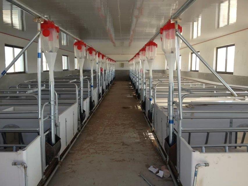郑州市猪场自动供料系统厂家