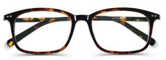 TR90眼镜架批发