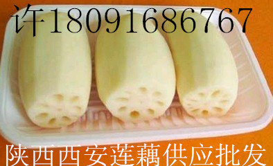 河南郑州莲藕种子苗网上标价会随季节有所浮动具体价格电话联系