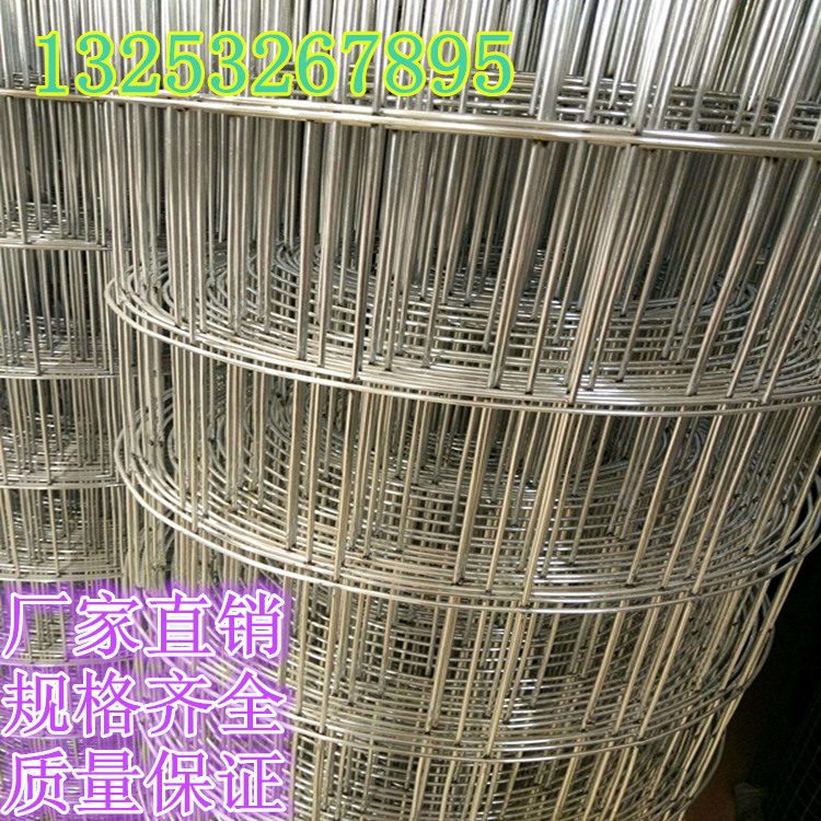 电焊网 外墙保温铁丝网 建筑网 墙体抗裂网厂 铁丝网直销