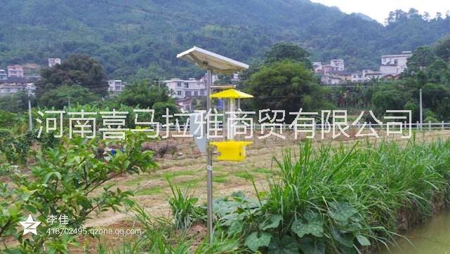 鹤壁市新款太阳能杀虫灯厂家太阳能sha 新款太阳能杀虫灯