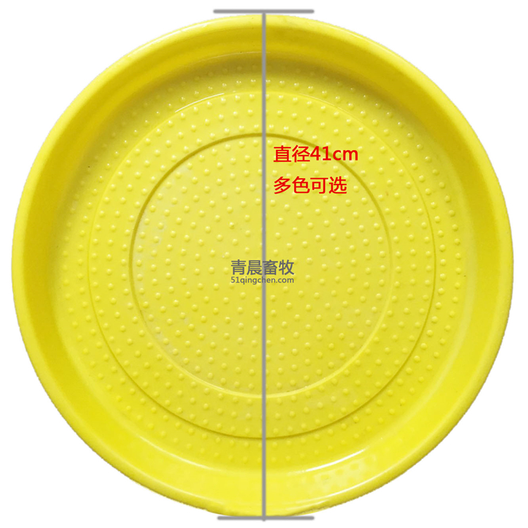 开食盘青晨塑料41cm开食盘