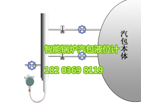 FRD-8031数字型智能锅炉汽包液位计，汽水分离器液位计，除氧器液位仪，侧装高温高压液位计