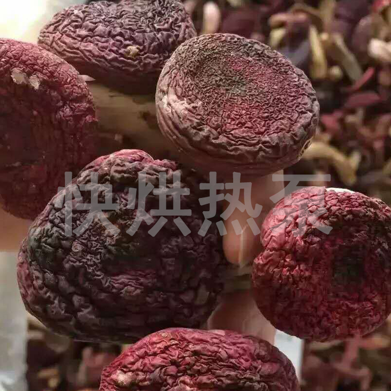 香菇烘干机 空气能烘干除湿一体机 香菇空气能烘干机 厂家直销