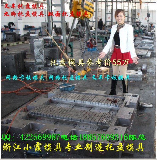 台州市一米五塑料田子托盘模具厂家