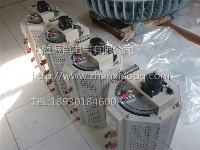 上海市TSGC接触式调压器厂家