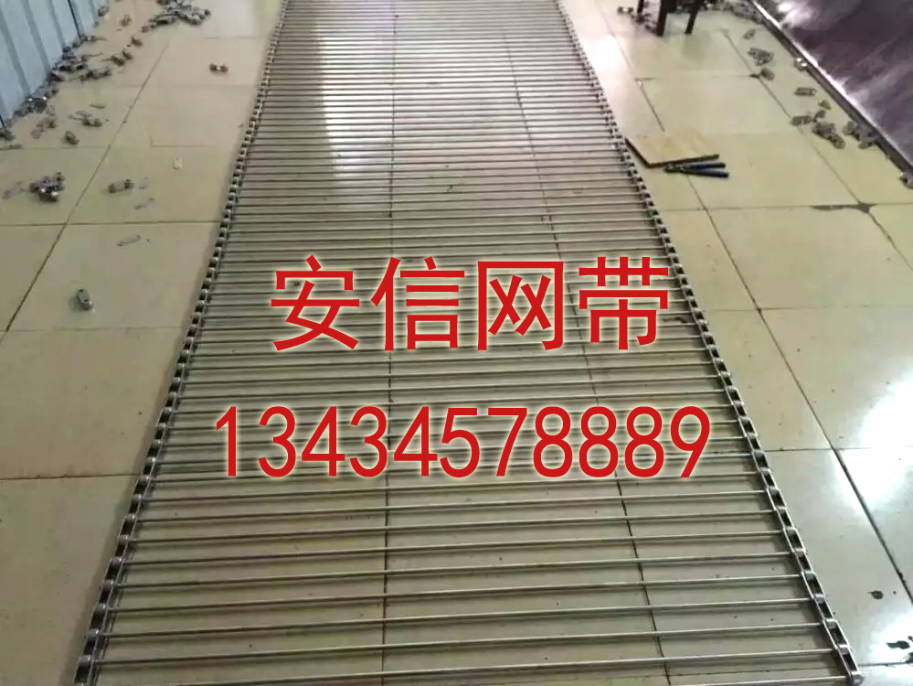深圳链条输送网带生产厂家图片
