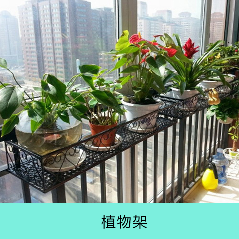 广州市植物架厂家植物架 铁艺落地式植物架 阳台多层植物架 阶梯盆栽架 室内装饰花盆架