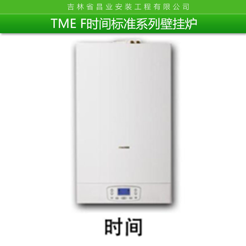 TME F时间标准系列挂壁炉 智能防冻挂壁炉热水器 家用供暖热水两用挂壁炉