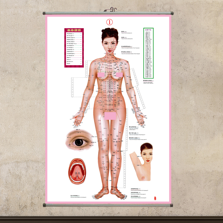 女性标准针灸人体经络穴位大挂图中医针灸模型养生保健布挂画