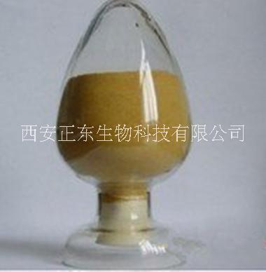 朝鲜蓟提取物 2.5%洋蓟酸批发