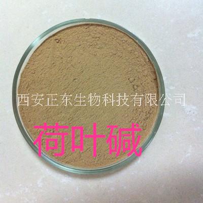 荷叶提取物 2%荷叶碱批发