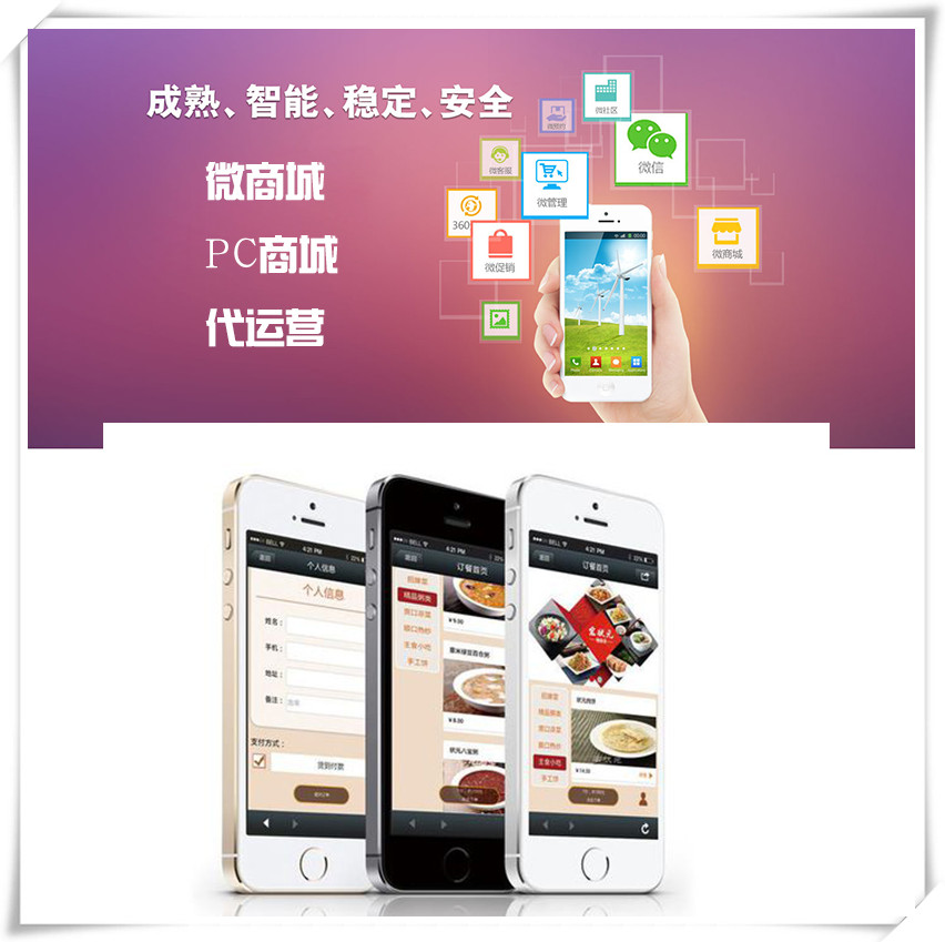 广州网站+微信+移动端建设设计开发,定制开发
