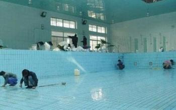 广州市清洁公司 专业游泳池清洁服务  广州游泳池清晰服务