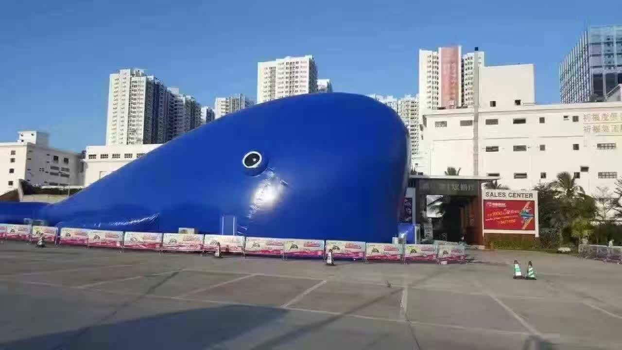 海洋球鲸鱼岛乐园出租大型气模鲸鱼批发