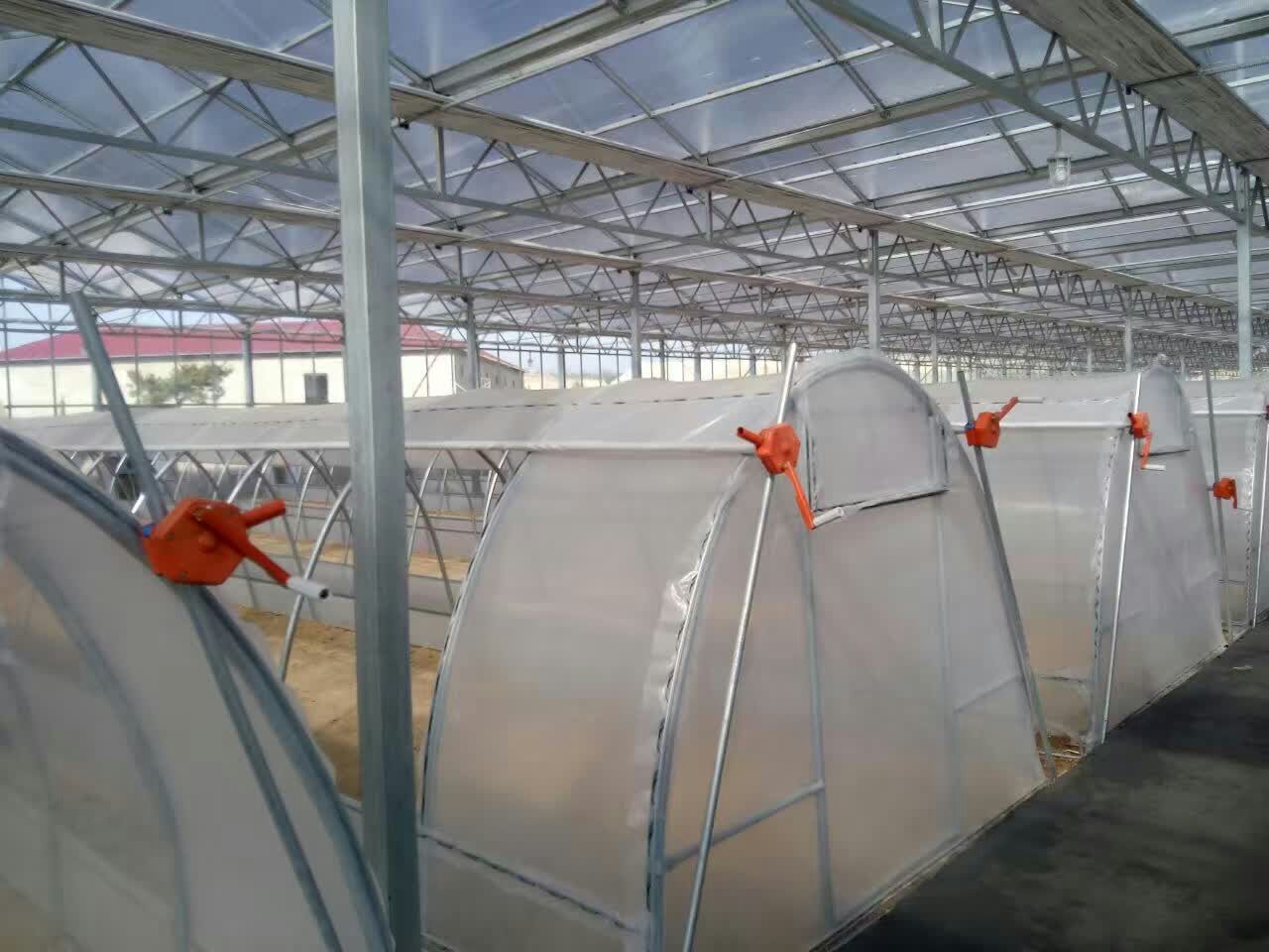 安徽温室大棚卡簧 大型温室大棚卡簧 采购用于温室大棚的配件
